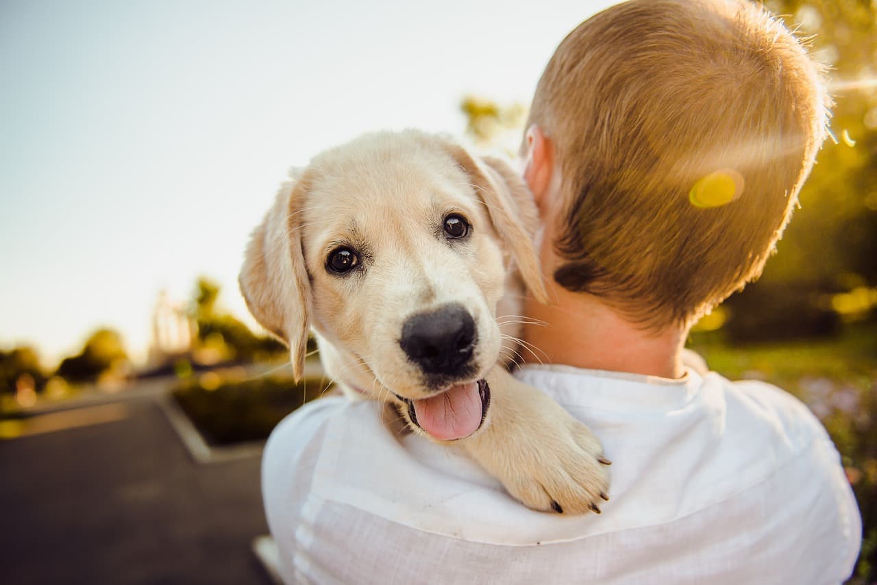 Man and Dog